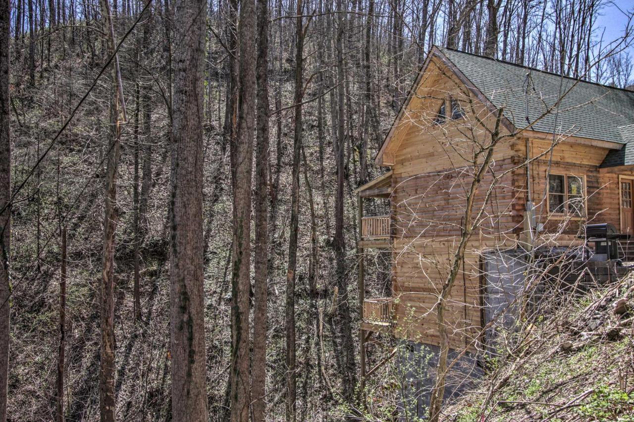 The Phoenix Cabin With Hot Tub In Gatlinburg! Kültér fotó